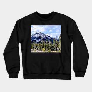 Grotto Canyon trailhead Crewneck Sweatshirt